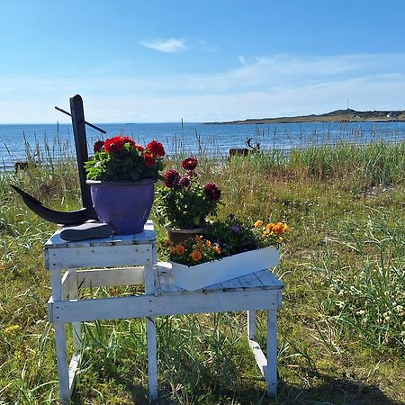 Feriehus Ved Barentshavet - Holiday Home By The Barents Sea Ytre Kiberg Екстериор снимка